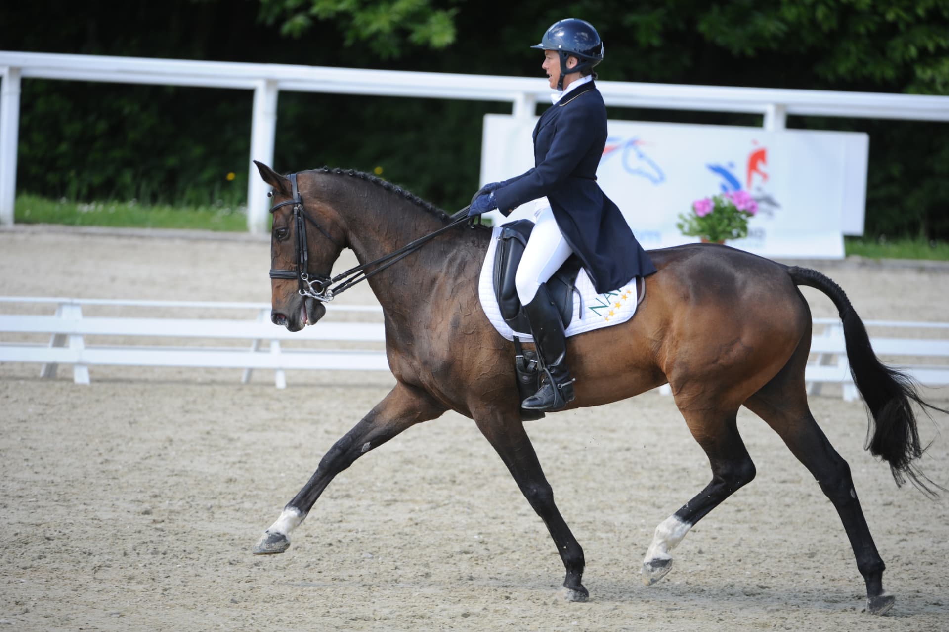 Alix de Hercé en reprise de dressage